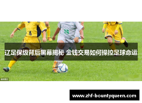 辽足保级背后黑幕揭秘 金钱交易如何操控足球命运